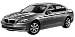 BMW F10 U251F Fault Code